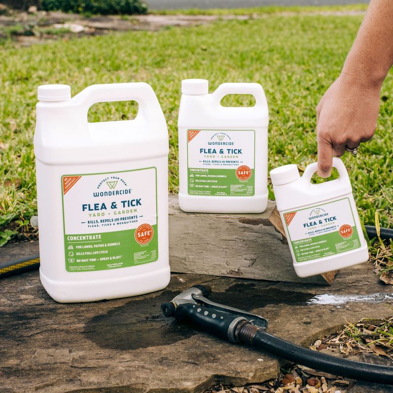 Treat the Yard with Pet-Safe Solutions